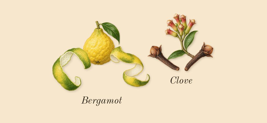 Jaïpur Homme, top notes: Bergamot, Clove