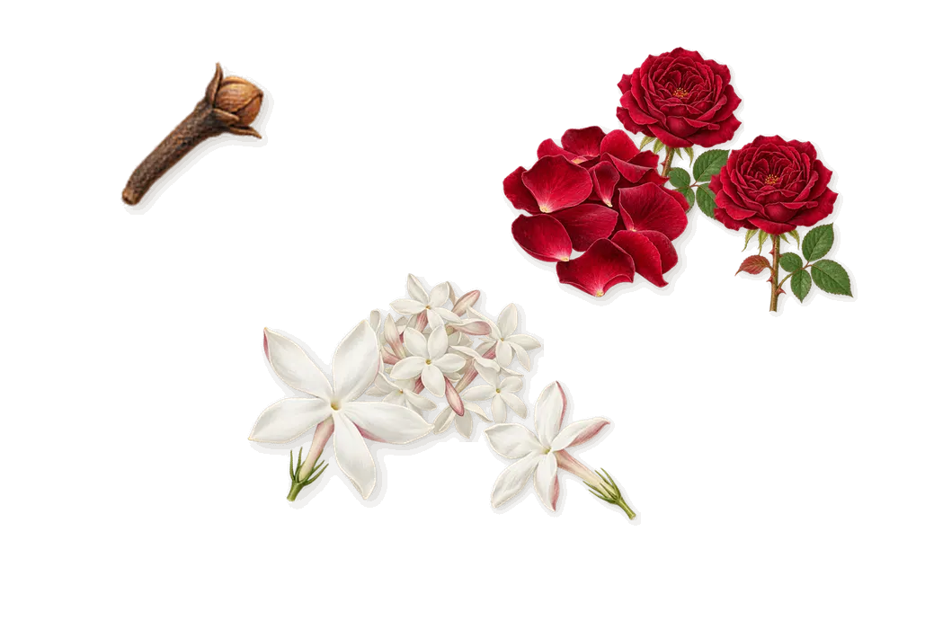 Quatre, as it settles: Rose, Jasmine, Isoeugenol (clove)