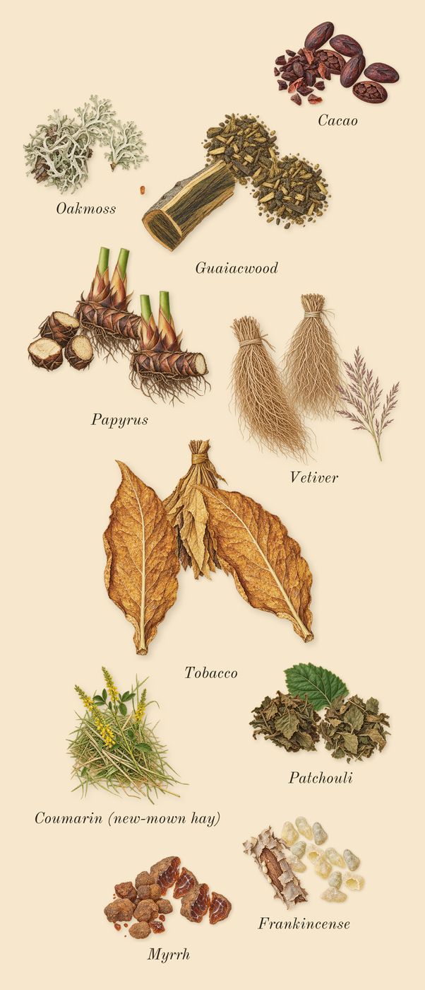 Boundless, dry-down: Guaiacwood, Papyrus, Cacao, Tobacco, Oakmoss, Frankincense, Myrrh, Vetiver, Patchouli, Coumarin (new-mown hay)