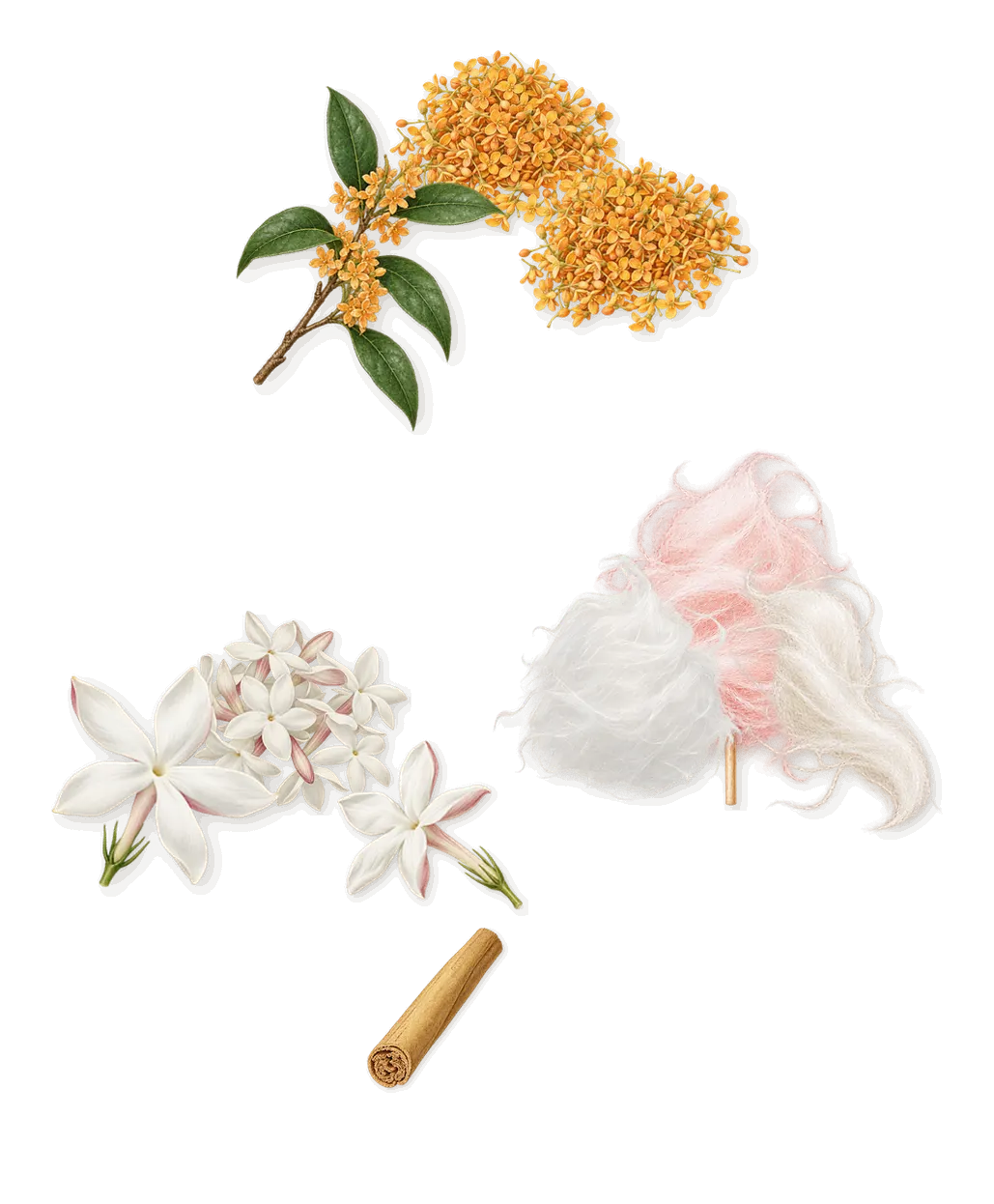 Guava Sorbet, as it settles: Sugar crystals, Osmanthus, Jasmine, Cinnamal (cinnamon)