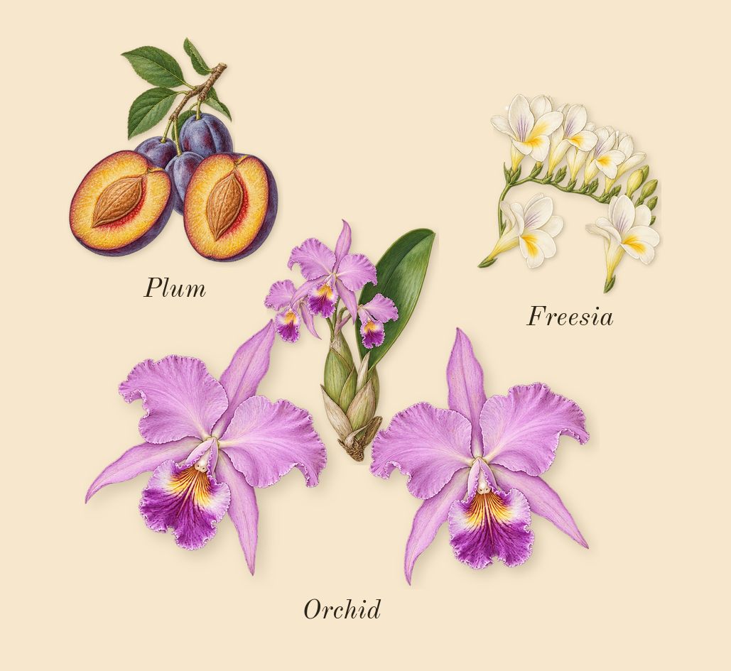 Midnight Fantasy, heart: Orchid, Freesia, Plum