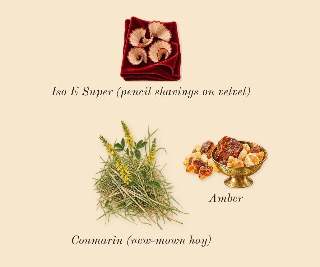Goddess Amber Vanilla Intense, dry-down: Amber, Iso E Super (pencil shavings on velvet), Coumarin (new-mown hay)