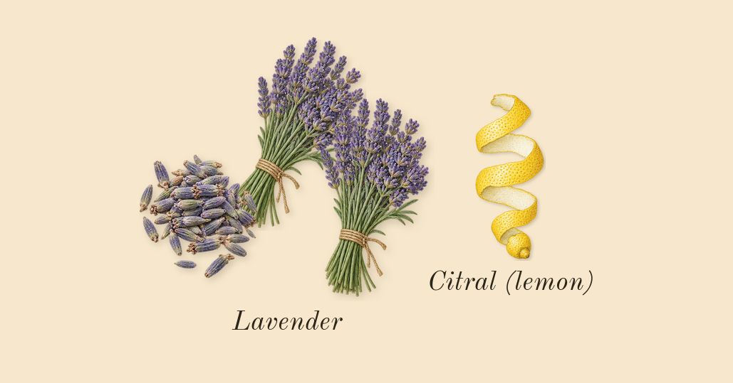 Goddess, top notes: Lavender, Citral (lemon)