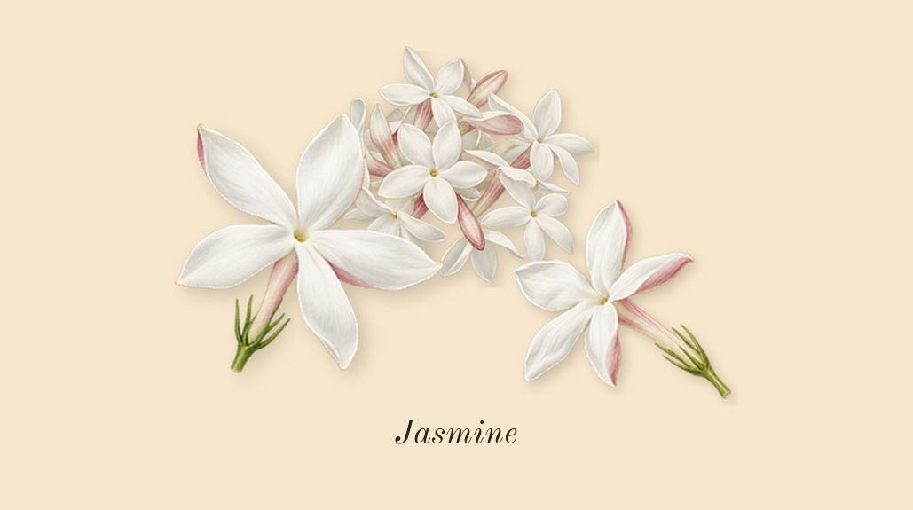 Her, heart: Jasmine