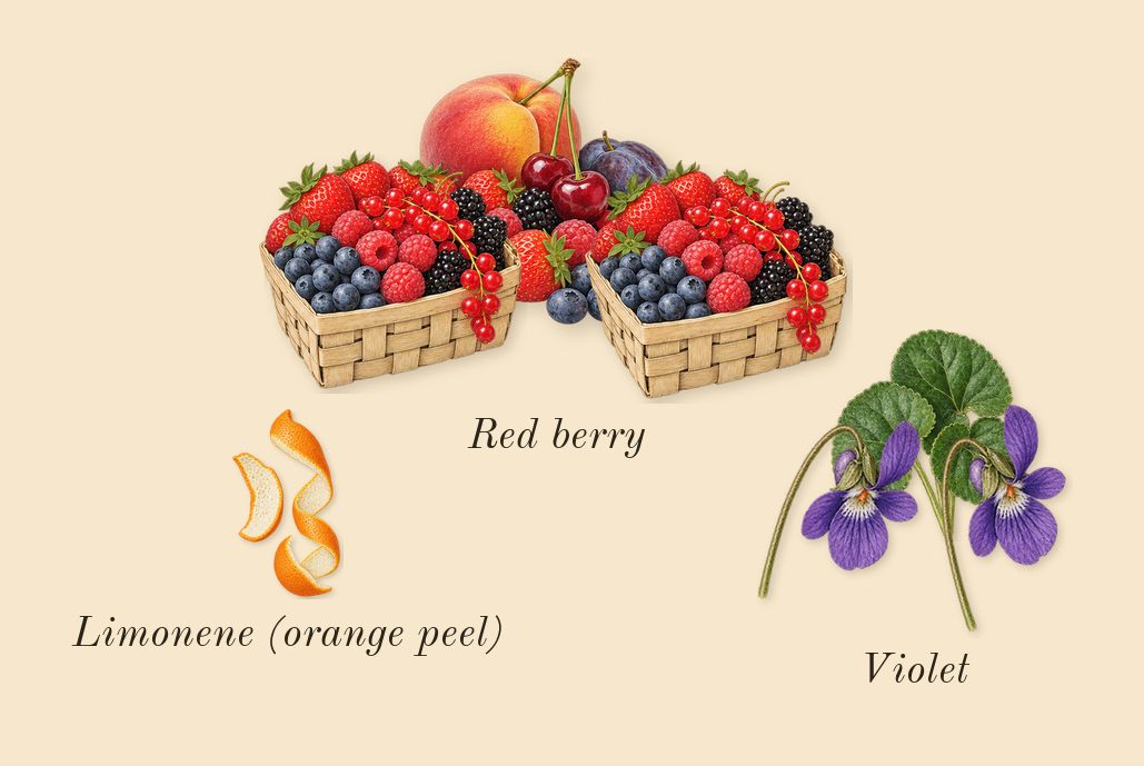 Her, top notes: Red berry, Violet, Limonene (orange peel)