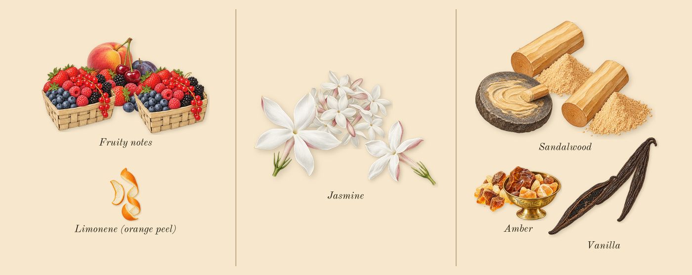Her’s scent picture, a draft: fruity notes, jasmine, vanilla, amber, sandalwood, limonene (orange peel) drawn so far; dashed outlines where nothing is drawn yet