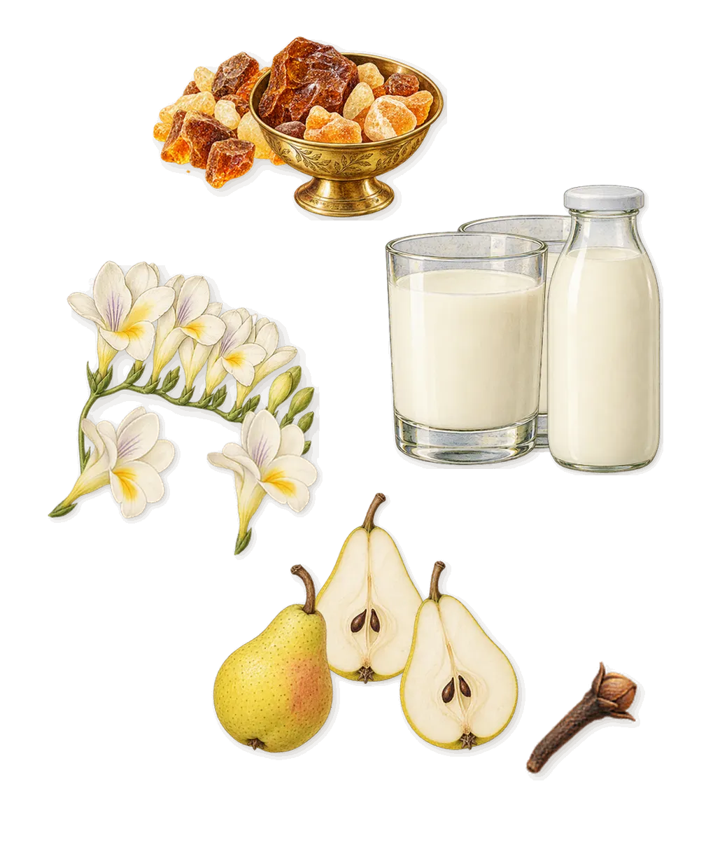 Her, as it settles: Amber, Pear, Freesia, Whipped cream, Eugenol (clove)