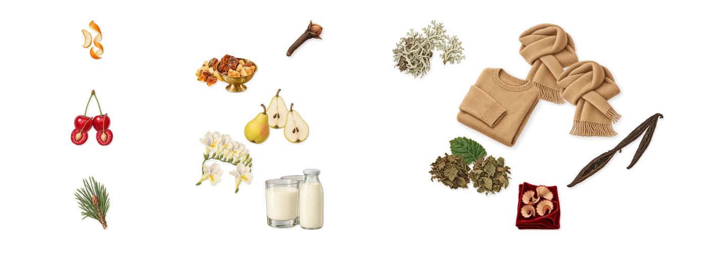 Her’s scent picture, a draft: cherry, amber, vanilla (vanillin), pear, freesia, whipped cream drawn so far; dashed outlines where nothing is drawn yet
