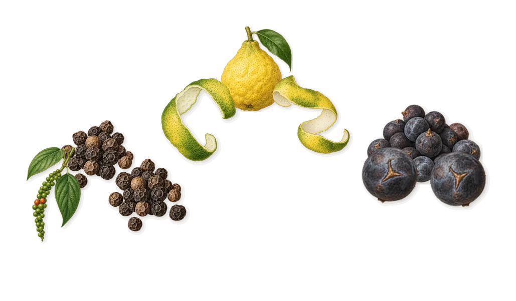 Hero, when you spray it: Juniper, Black pepper, Bergamot
