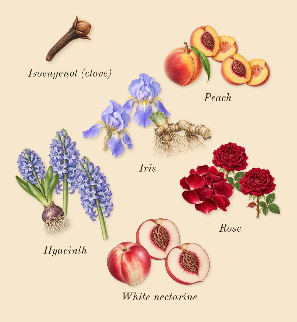 Weekend, heart: Rose, Peach, Iris, Hyacinth, White nectarine, Isoeugenol (clove)