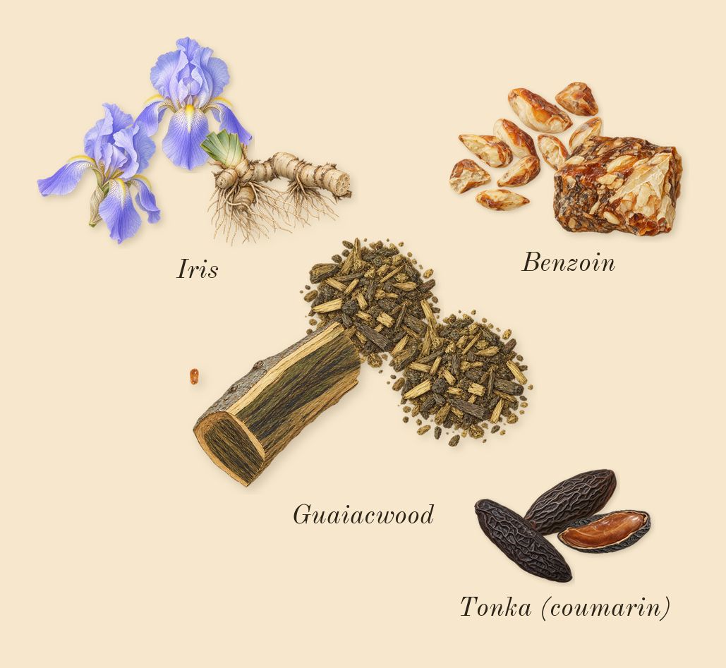 Man in Black, dry-down: Benzoin, Guaiacwood, Iris, Tonka (coumarin)