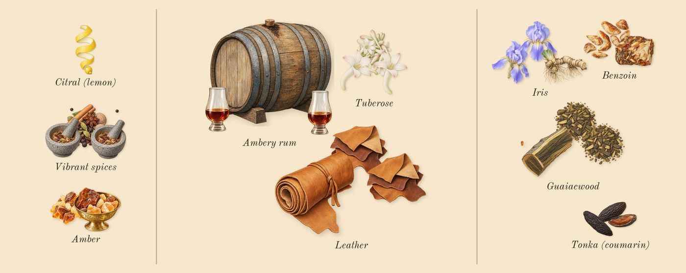 Man in Black’s scent picture, a draft: vibrant spices, amber, tuberose, leather, benzoin, guaiacwood drawn so far; dashed outlines where nothing is drawn yet