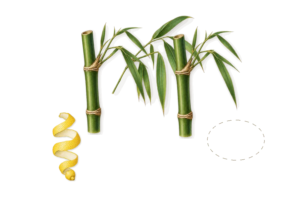 Omnia Crystalline, when you spray it: Nashi accord, Bamboo, Citral (lemon)