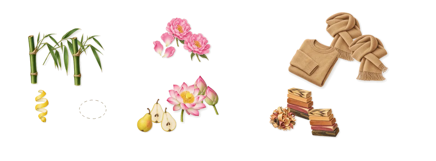 Omnia Crystalline’s scent picture, a draft: bamboo, lotus, peony, balsa wood, crystal musk, pear drawn so far; dashed outlines where nothing is drawn yet