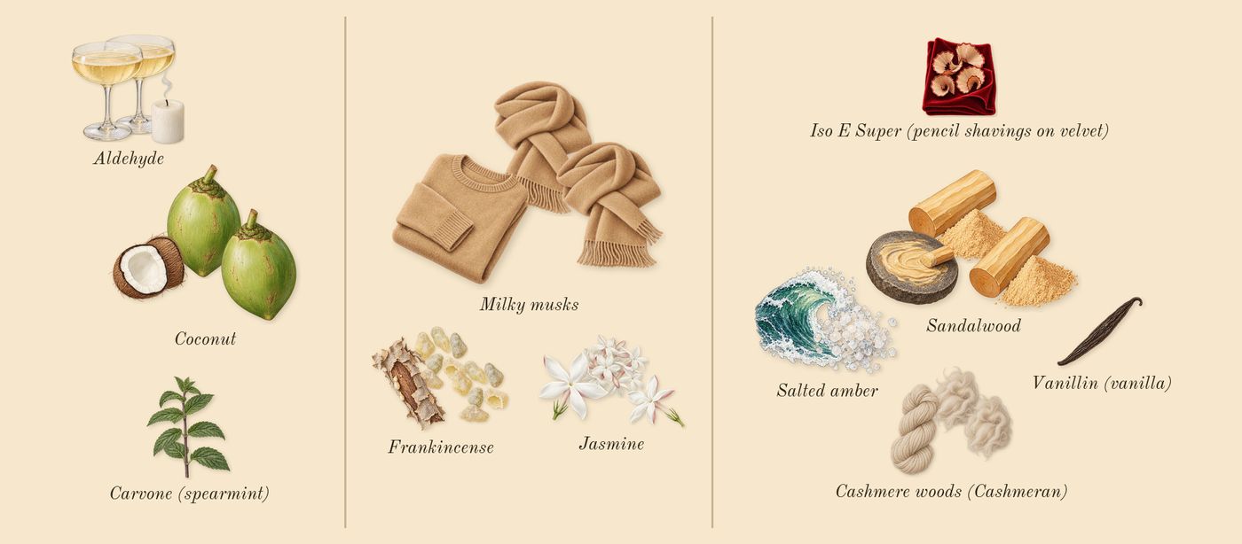 Alto Astral’s scent picture, a draft: aldehyde, coconut, frankincense, jasmine, milky musks, sandalwood drawn so far; dashed outlines where nothing is drawn yet