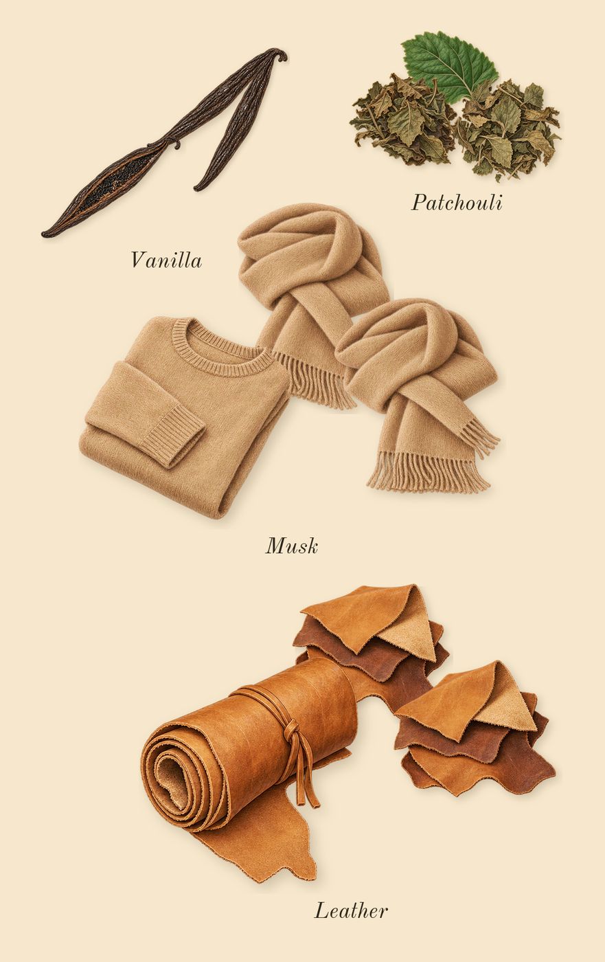 Bibliothèque, dry-down: Leather, Patchouli, Vanilla, Musk