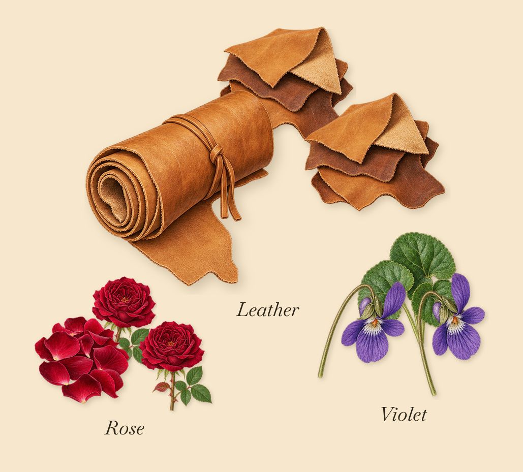Black Saffron, as it settles: Violet, Leather, Rose