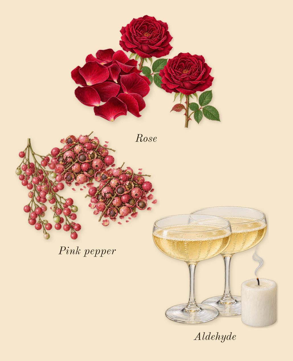 Blanche, top notes: Rose, Pink pepper, Aldehyde