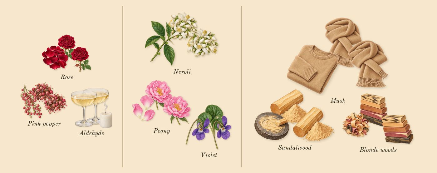 Blanche’s scent picture, a draft: rose, pink pepper, aldehyde, violet, neroli, peony drawn so far; dashed outlines where nothing is drawn yet