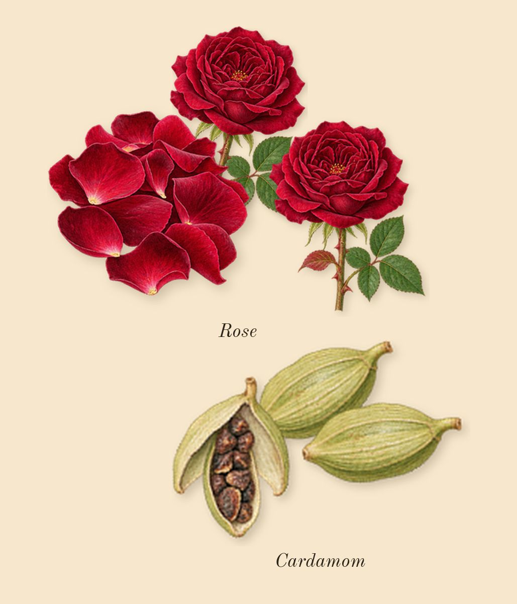 Desert Dawn, top notes: Cardamom, Rose