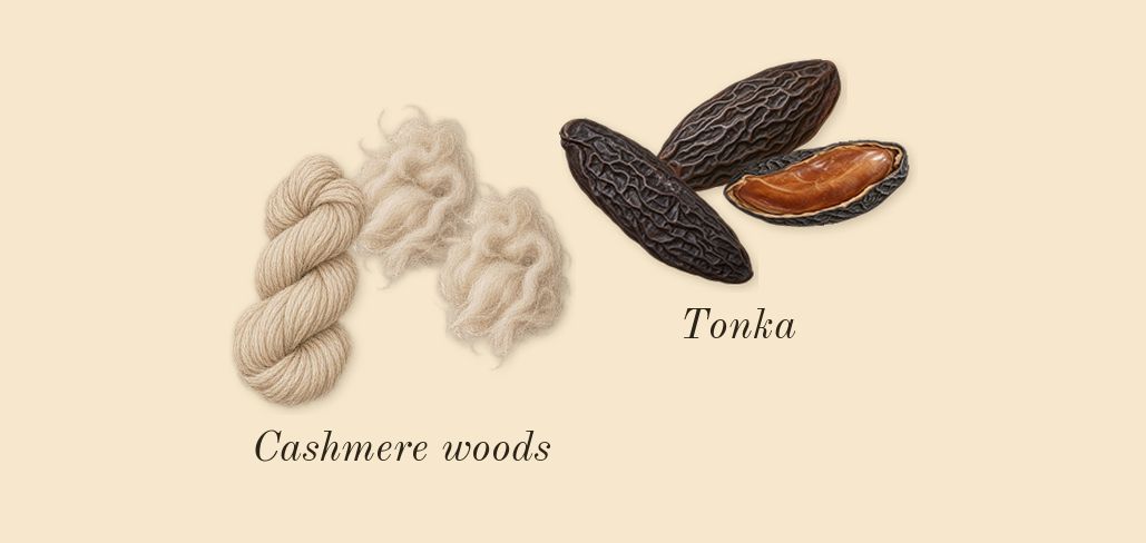 Eleventh Hour, dry-down: Tonka, Cashmere woods