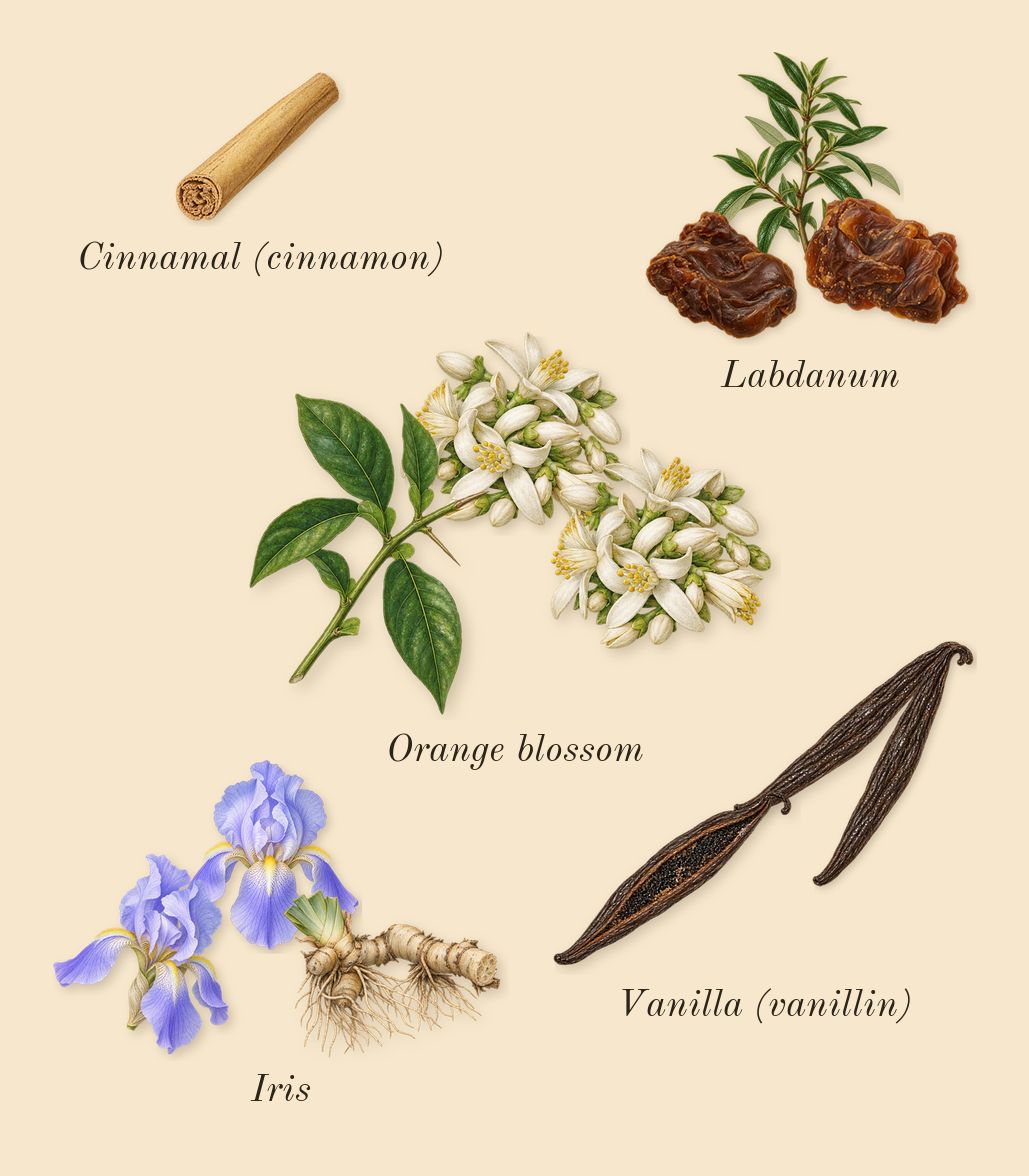 Future Memories, heart: Labdanum, Iris, Orange blossom, Vanilla (vanillin), Cinnamal (cinnamon)