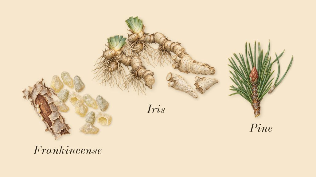 Gypsy Water, heart: Frankincense, Iris, Pine