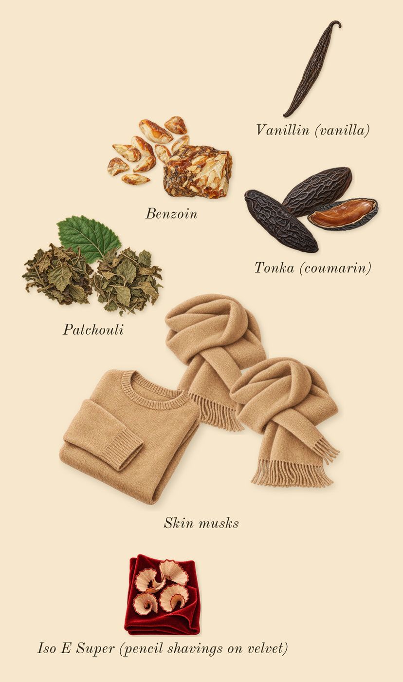 Havana Tonka, dry-down: Skin musks, Tonka (coumarin), Patchouli, Benzoin, Iso E Super (pencil shavings on velvet), Vanillin (vanilla)