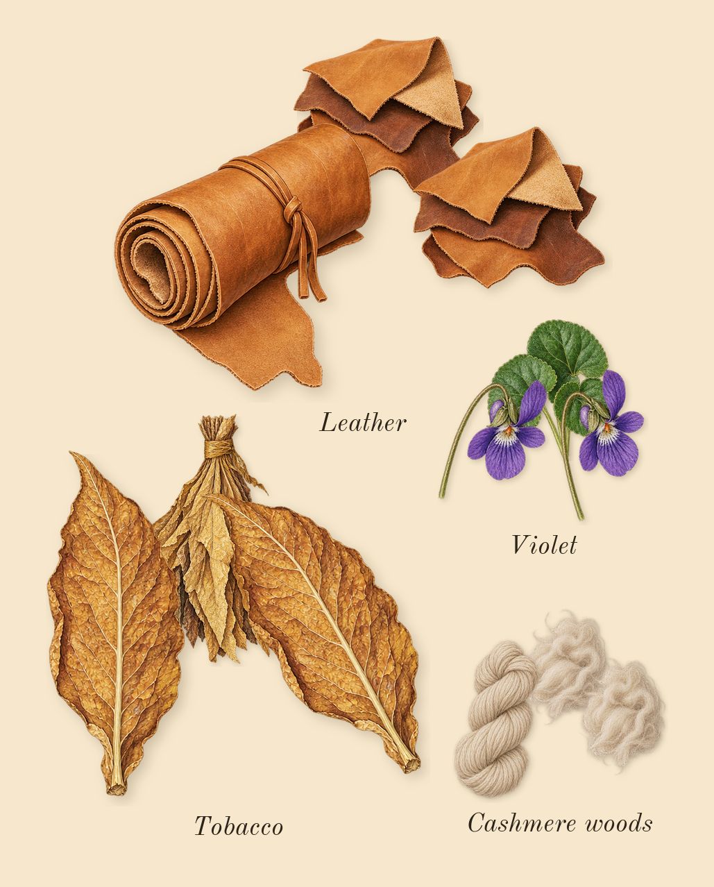 Havana Tonka, heart: Tobacco, Violet, Cashmere woods, Leather
