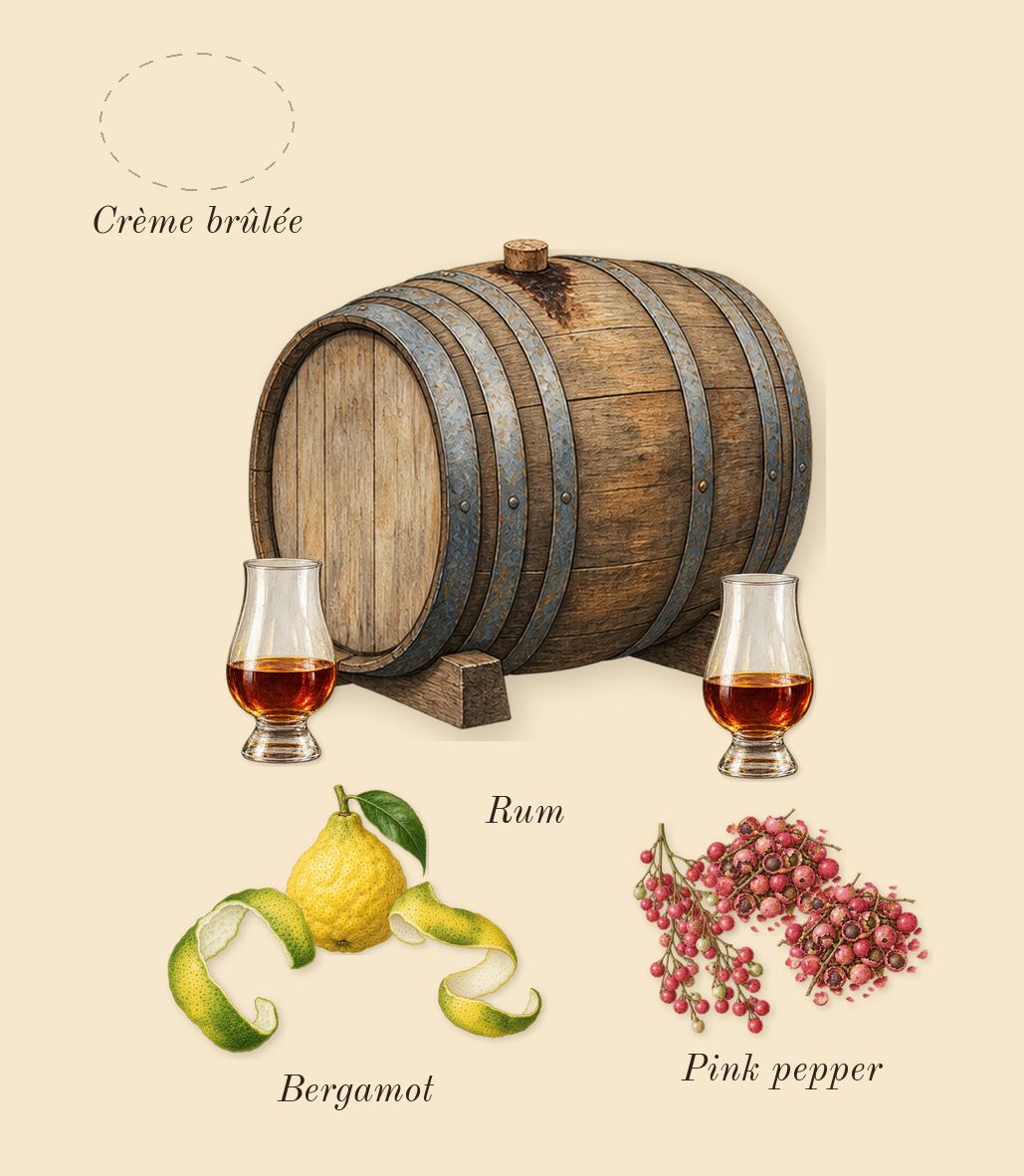 Havana Tonka, top notes: Bergamot, Rum, Pink pepper, Crème brûlée