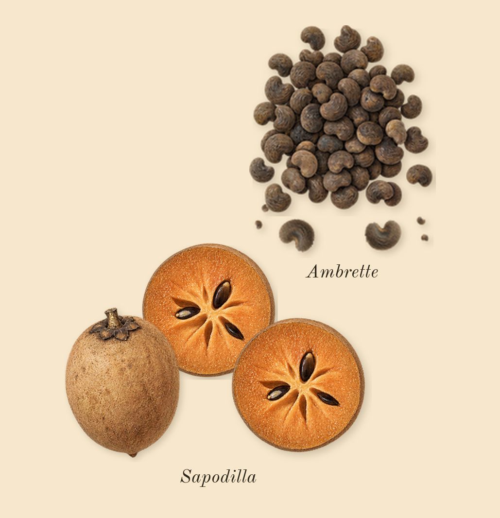 Mojave Ghost Absolu, top notes: Ambrette, Sapodilla