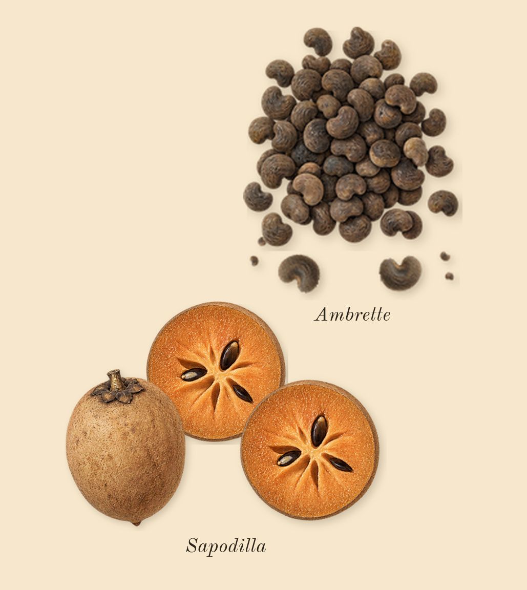 Mojave Ghost, top notes: Ambrette, Sapodilla