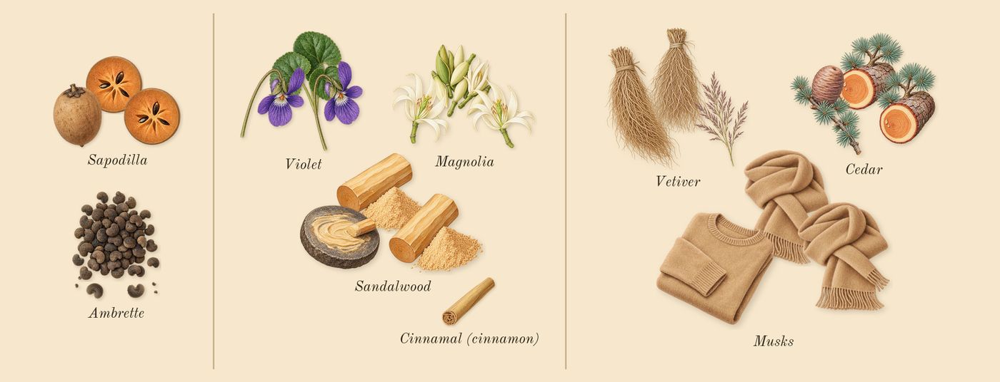 Mojave Ghost’s scent picture, a draft: ambrette, sapodilla, magnolia, sandalwood, violet, cedar drawn so far; dashed outlines where nothing is drawn yet