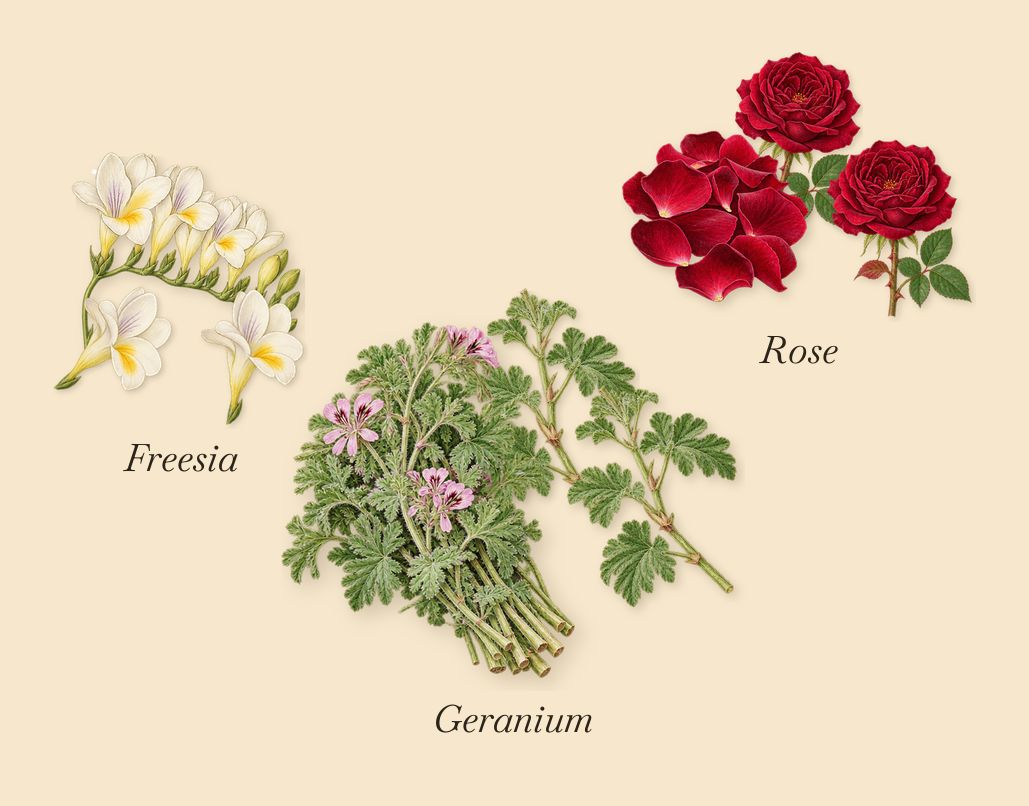 Sister Dreamer, as it settles: Freesia, Rose, Geranium