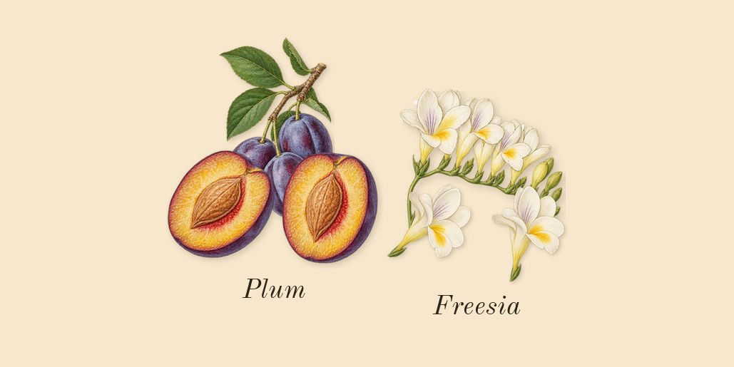 Vanille Antique, top notes: Freesia, Plum