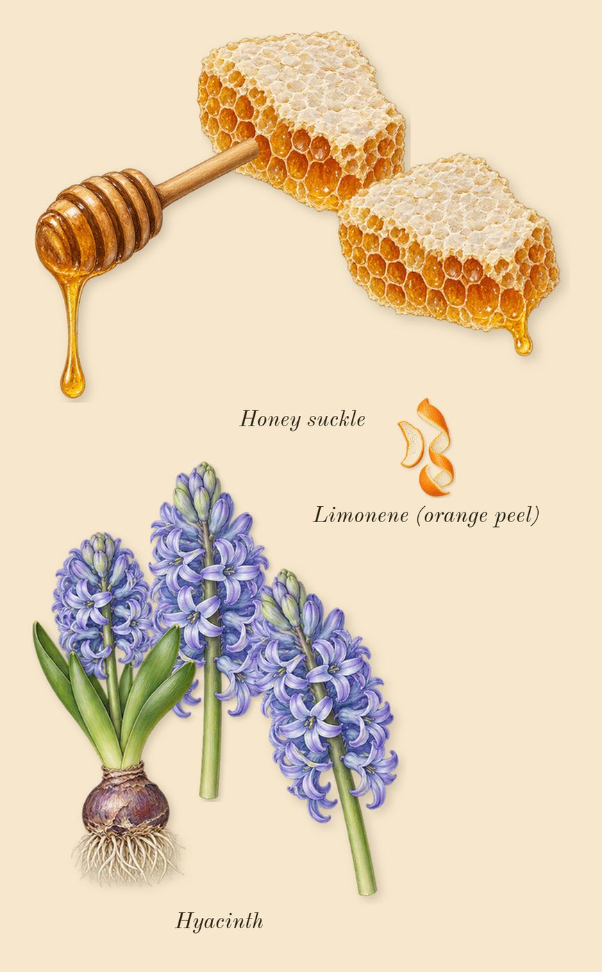 Anaïs Anaïs, top notes: Hyacinth, Honey suckle, Limonene (orange peel)