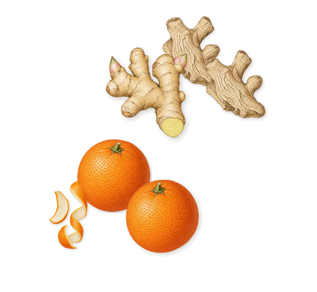 CK Everyone, when you spray it: Sweet orange, Ginger