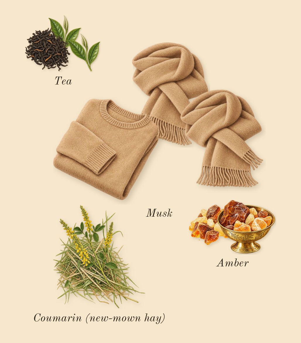 CK One, dry-down: Musk, Amber, Tea, Coumarin (new-mown hay)