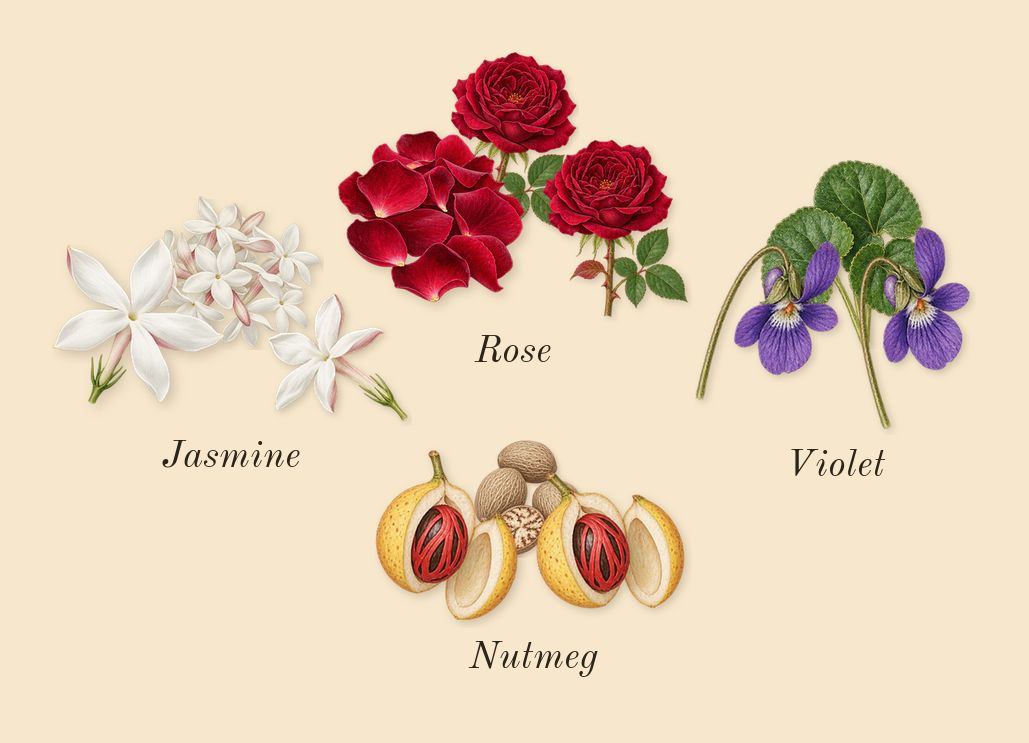 CK One, heart: Jasmine, Violet, Rose, Nutmeg