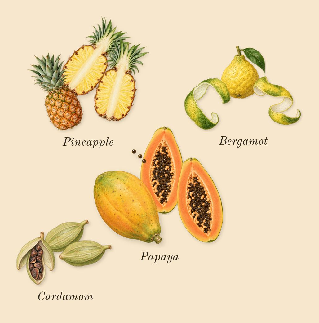 CK One, top notes: Bergamot, Cardamom, Pineapple, Papaya