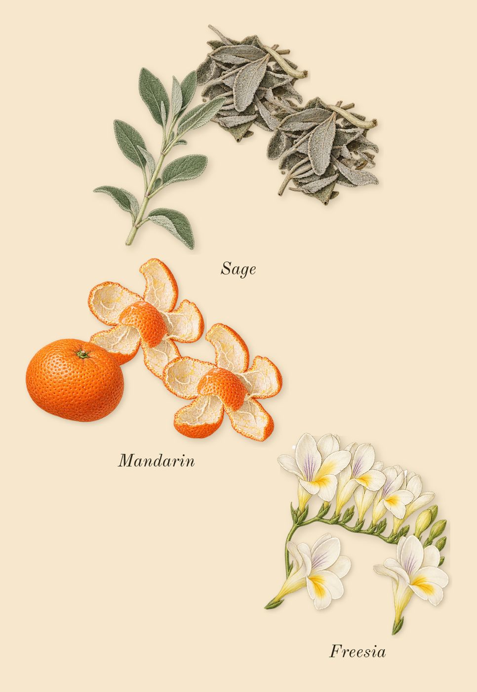 Eternity, top notes: Freesia, Mandarin, Sage