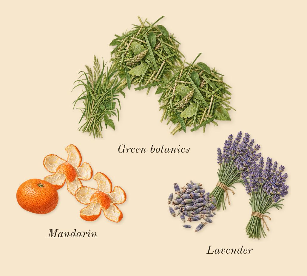 Eternity for Men, top notes: Mandarin, Lavender, Green botanics