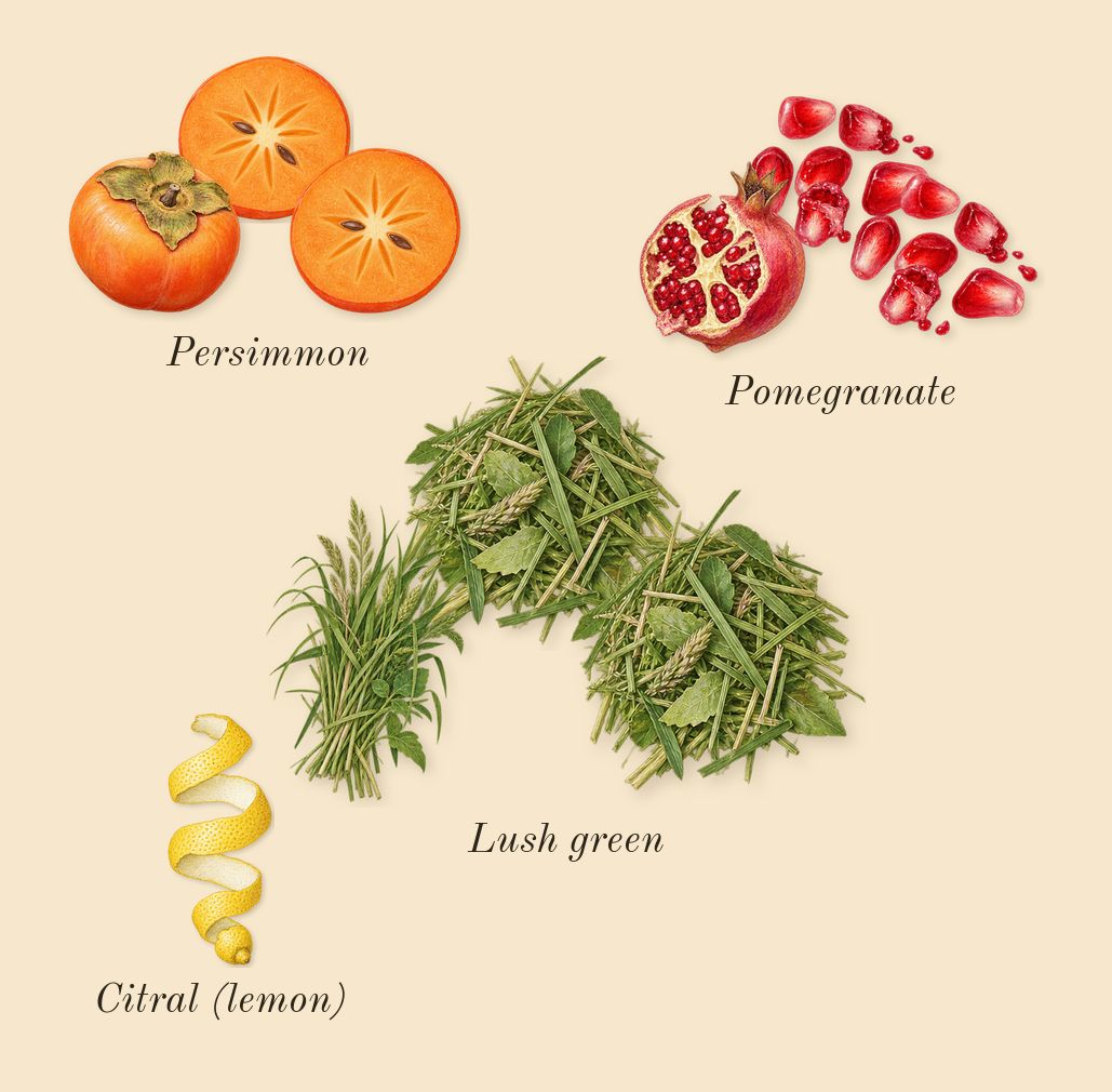 Euphoria, top notes: Pomegranate, Persimmon, Lush green, Citral (lemon)