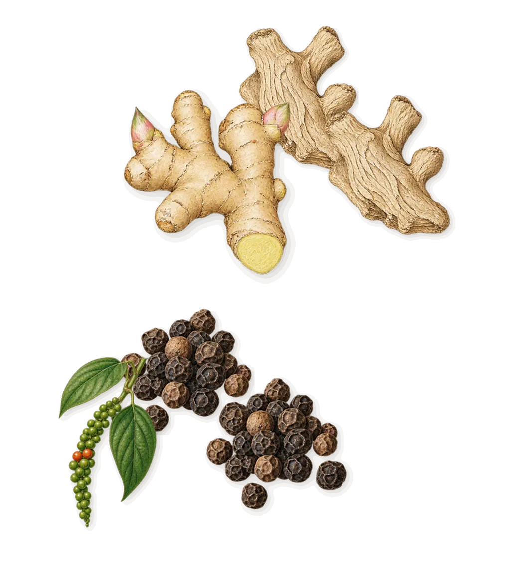 Euphoria Men Intense, when you spray it: Ginger, Black pepper