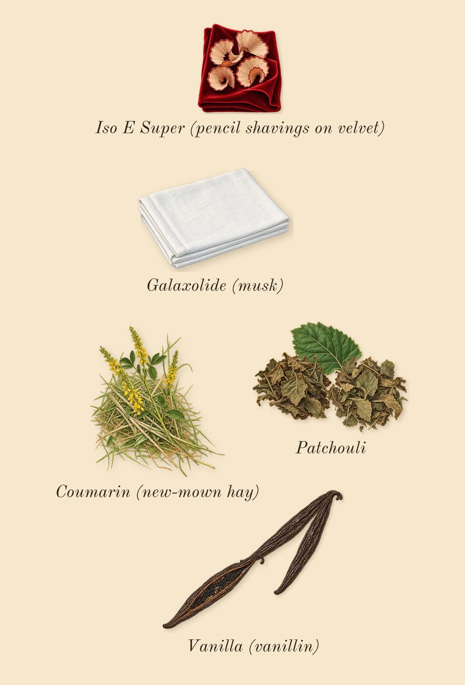 Euphoria Signature Elixir, dry-down: Patchouli, Vanilla (vanillin), Iso E Super (pencil shavings on velvet), Galaxolide (musk), Coumarin (new-mown hay)