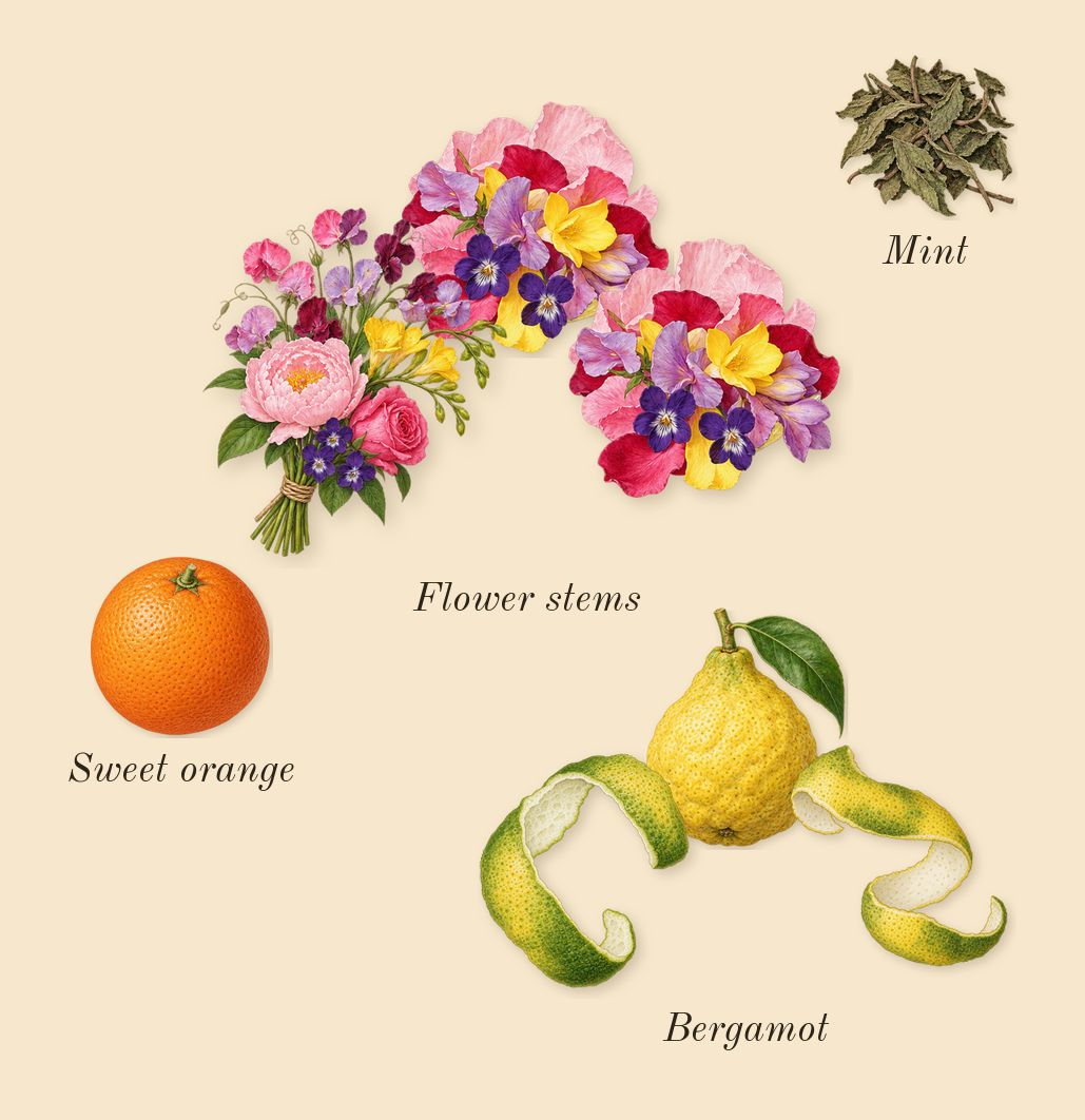 212 NYC, top notes: Flower stems, Bergamot, Sweet orange, Mint