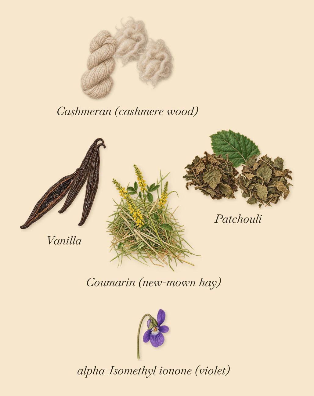 Amethyst Haze, what stays: Vanilla, Patchouli, Cashmeran (cashmere wood), Coumarin (new-mown hay), alpha-Isomethyl ionone (violet)