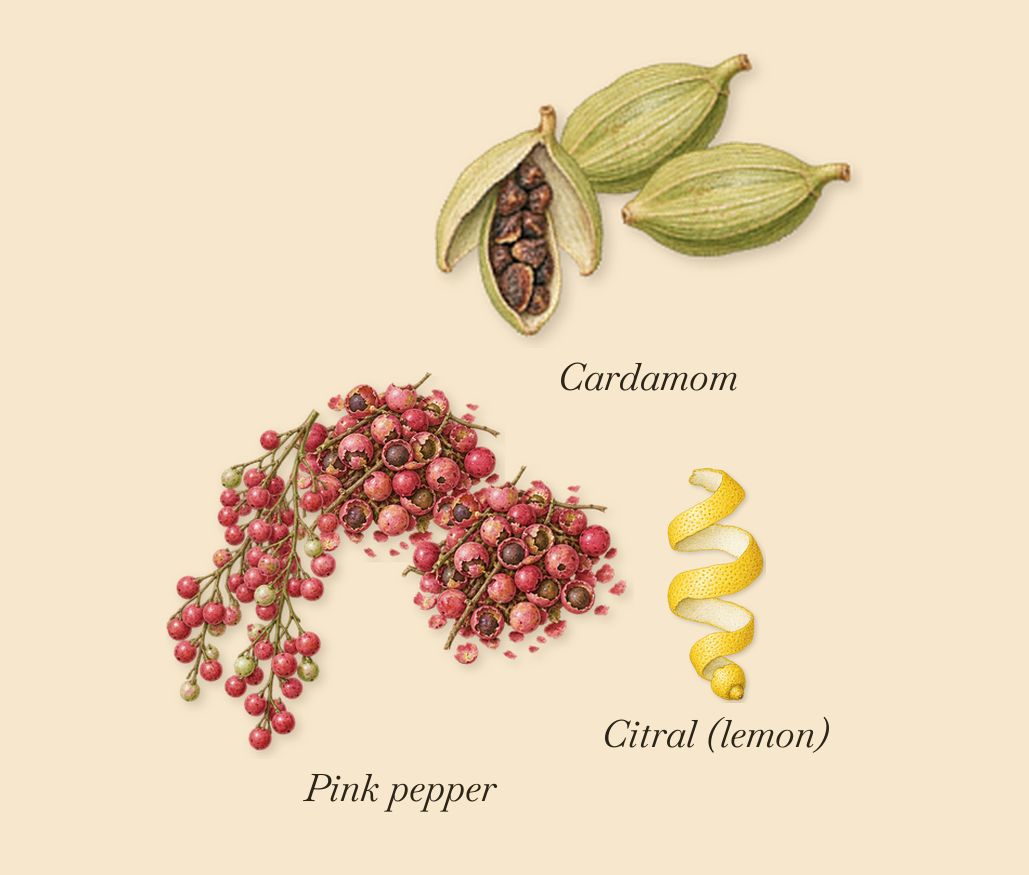 Amethyst Haze, when you spray it: Pink pepper, Cardamom, Citral (lemon)