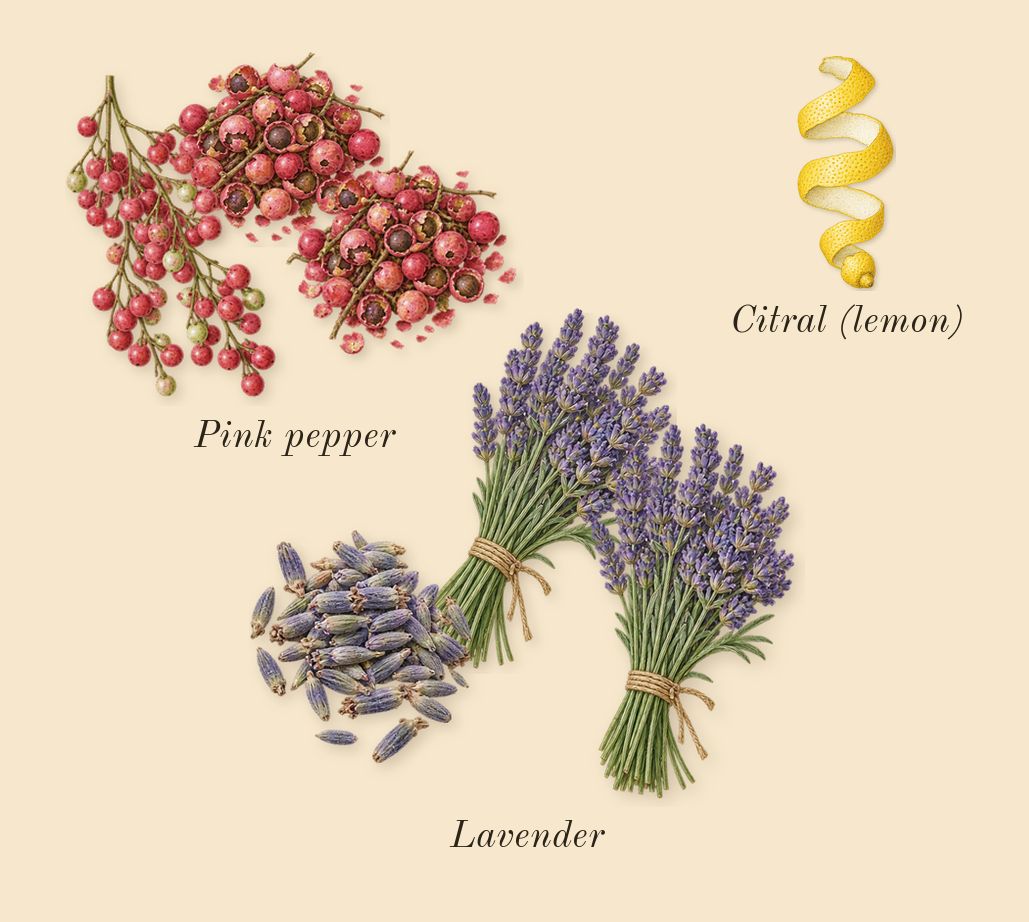 Bad Boy Cobalt, top notes: Pink pepper, Lavender, Citral (lemon)