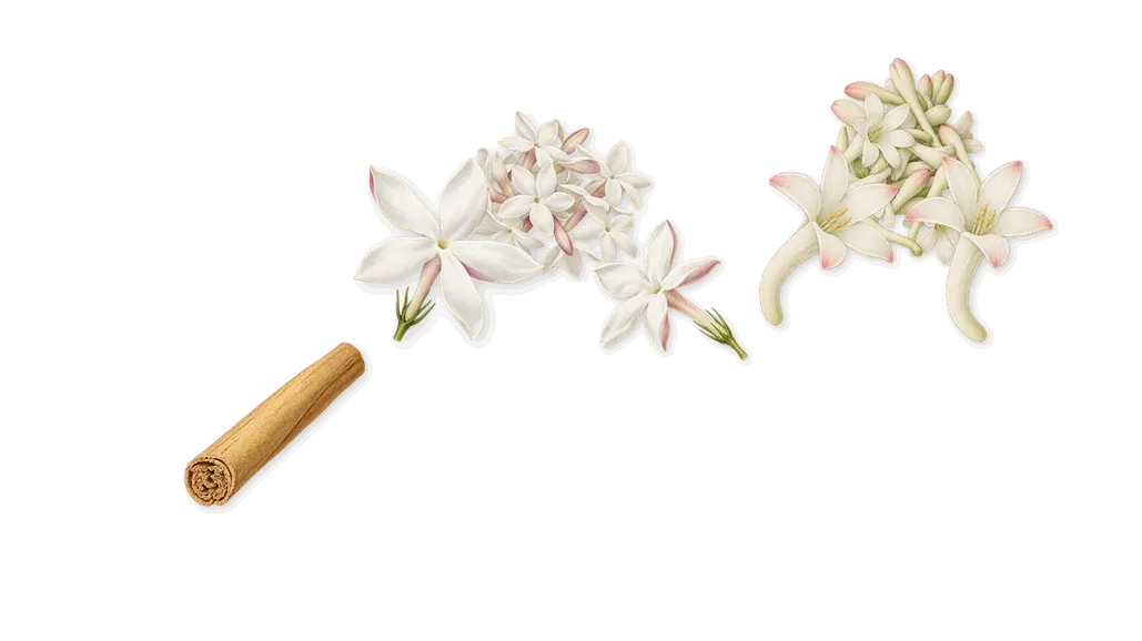 Carolina Herrera, as it settles: Tuberose, Jasmine, Cinnamal (cinnamon)
